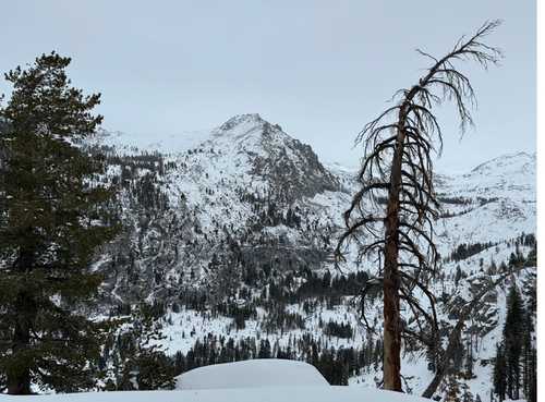 Photography by Will DeWitt